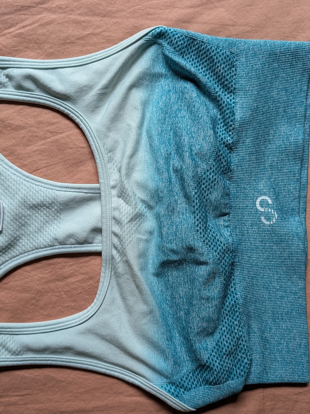 Seamless Ombre Light Teal Sports Bra - Brand:Curves N Combatboots